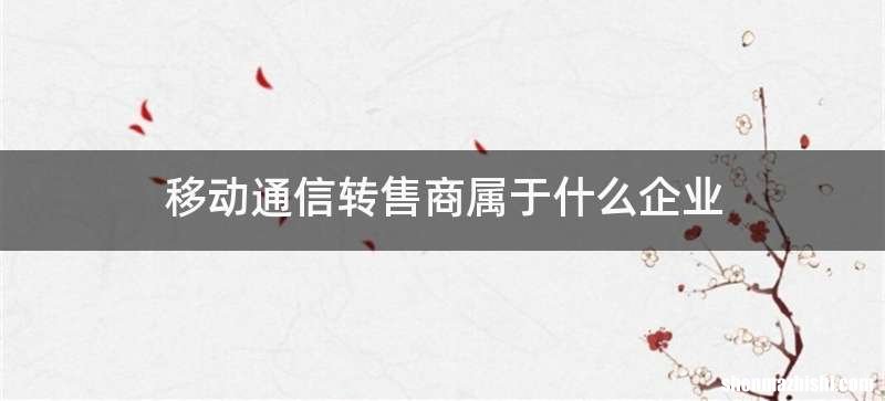 移动通信转售商属于什么企业