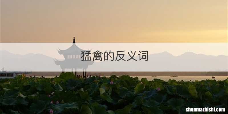 猛禽的反义词