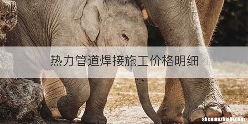 热力管道焊接施工价格明细