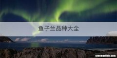 鱼子兰品种大全