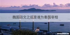 魏国田文之后是谁为秦国宰相