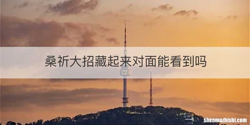 桑祈大招藏起来对面能看到吗