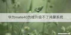 华为mate40为啥升级不了鸿蒙系统