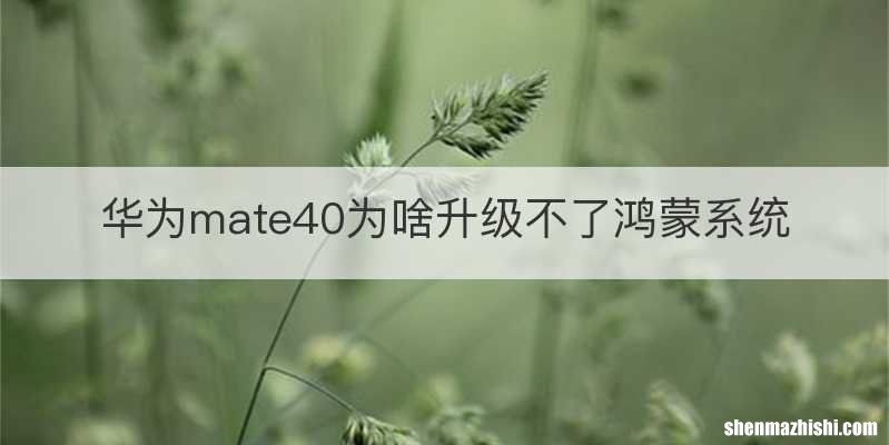 华为mate40为啥升级不了鸿蒙系统