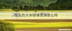 东北农大本硕博连读怎么样