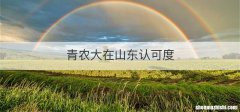 青农大在山东认可度