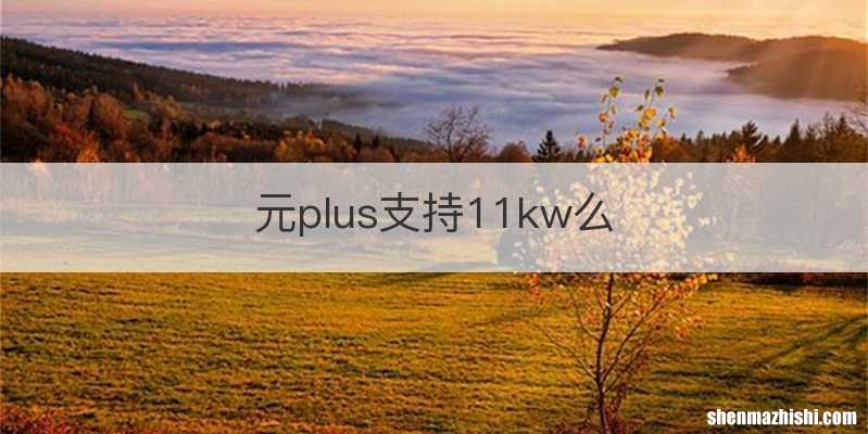 元plus支持11kw么