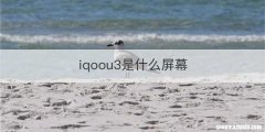 iqoou3是什么屏幕