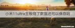 小米11ultra主板烧了数据还可以保存吗