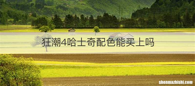 狂潮4哈士奇配色能买上吗