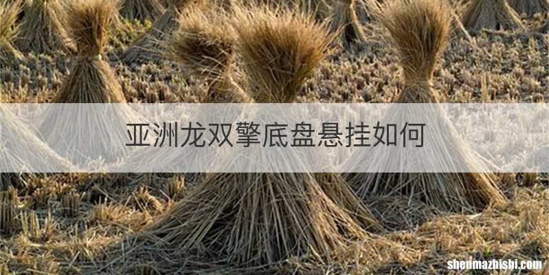 亚洲龙双擎底盘悬挂如何