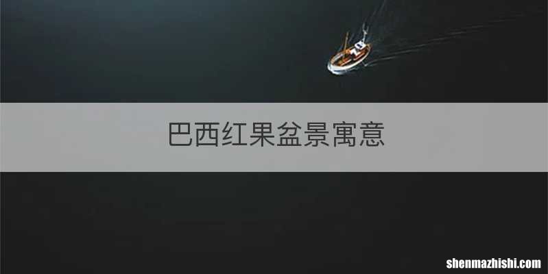 巴西红果盆景寓意