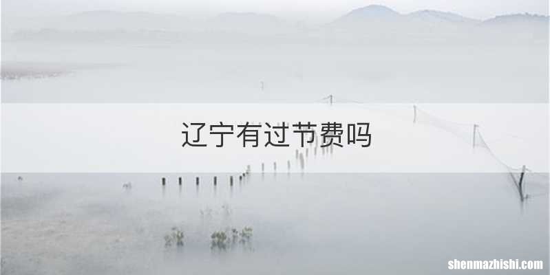 辽宁有过节费吗