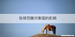 张禄范睢对秦国的影响