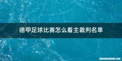 德甲足球比赛怎么看主裁判名单