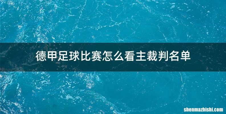 德甲足球比赛怎么看主裁判名单