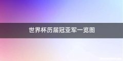 世界杯历届冠亚军一览图
