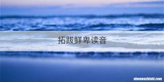拓跋鲜卑读音