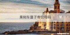 果树车厘子有公母吗