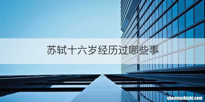 苏轼十六岁经历过哪些事