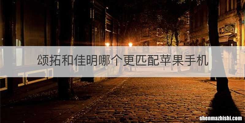 颂拓和佳明哪个更匹配苹果手机