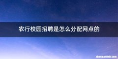 农行校园招聘是怎么分配网点的