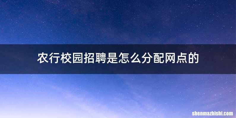 农行校园招聘是怎么分配网点的