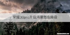 荣耀30pro升级鸿蒙怎么降级