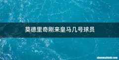 莫德里奇刚来皇马几号球员