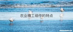 农业精工细作的特点