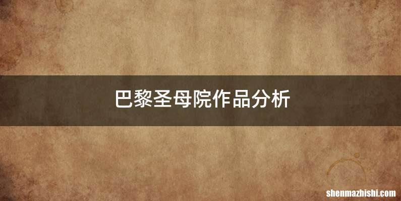 巴黎圣母院作品分析