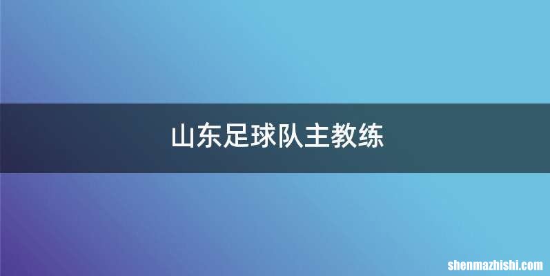 山东足球队主教练