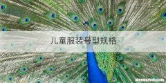 儿童服装号型规格