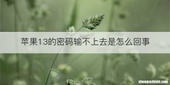 苹果13的密码输不上去是怎么回事