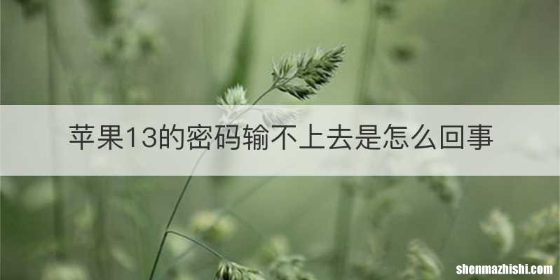 苹果13的密码输不上去是怎么回事