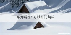 华为畅享9可以开门禁嘛