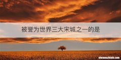 被誉为世界三大宋城之一的是