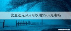 比亚迪元plus可以用220v充电吗