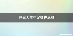 世界大学生足球世界杯
