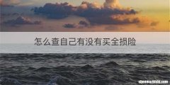怎么查自己有没有买全损险