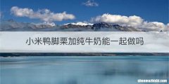 小米鸭脚栗加纯牛奶能一起做吗
