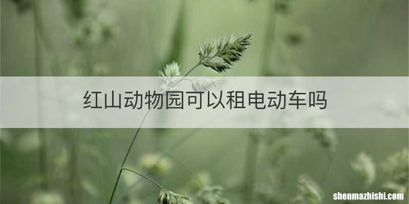 红山动物园可以租电动车吗