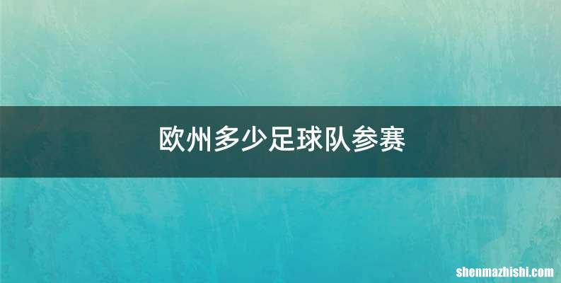 欧州多少足球队参赛