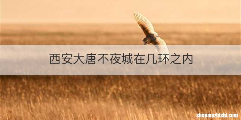 西安大唐不夜城在几环之内