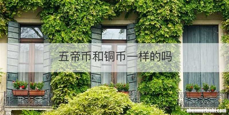 五帝币和铜币一样的吗