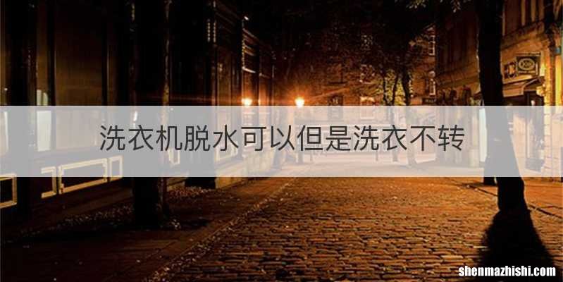 洗衣机脱水可以但是洗衣不转