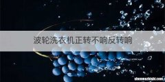波轮洗衣机正转不响反转响