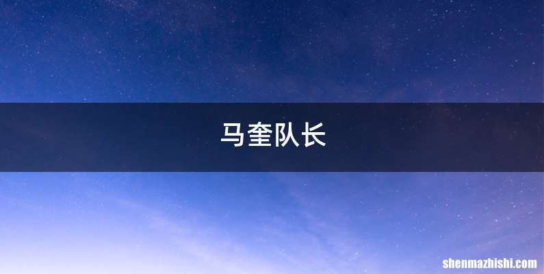 马奎队长