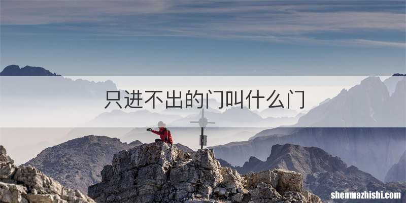 只进不出的门叫什么门