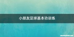 小朋友足球基本功训练